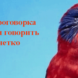 Как улучшить дикцию и речь?