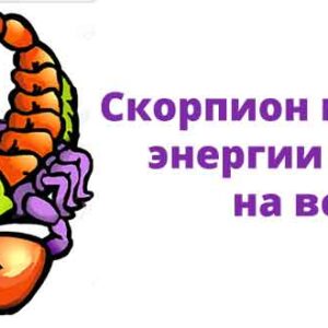 Скорпион — отличный парень, просто с ним надо подружиться