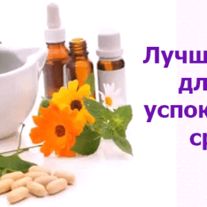 Успокоительные средства для нервной системы взрослого