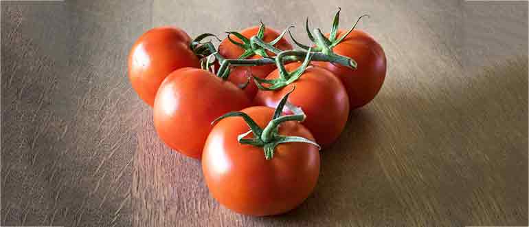 tomaty miniatyura